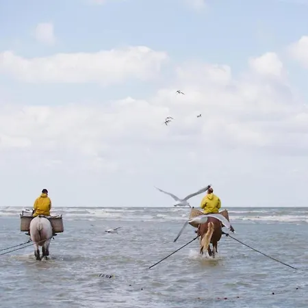 Near Sandy In Belgium Apartamento