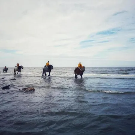 Near Sandy In Belgium Oostduinkerke