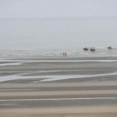 Near Sandy In Belgium