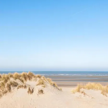 Near Sandy In Belgium