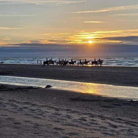 Near Sandy In Belgium *